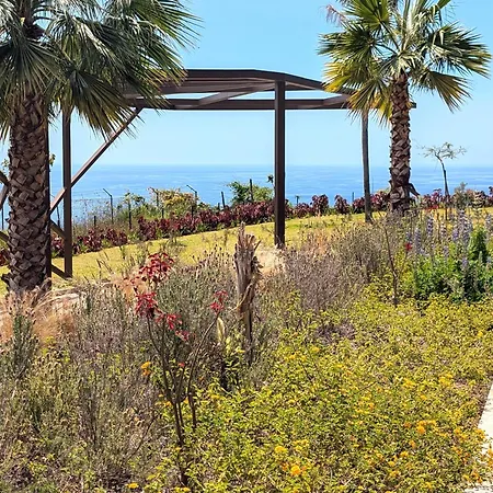 Sky-high Elegance Top-floor Views Of City, Ocean & Sunrise アパート